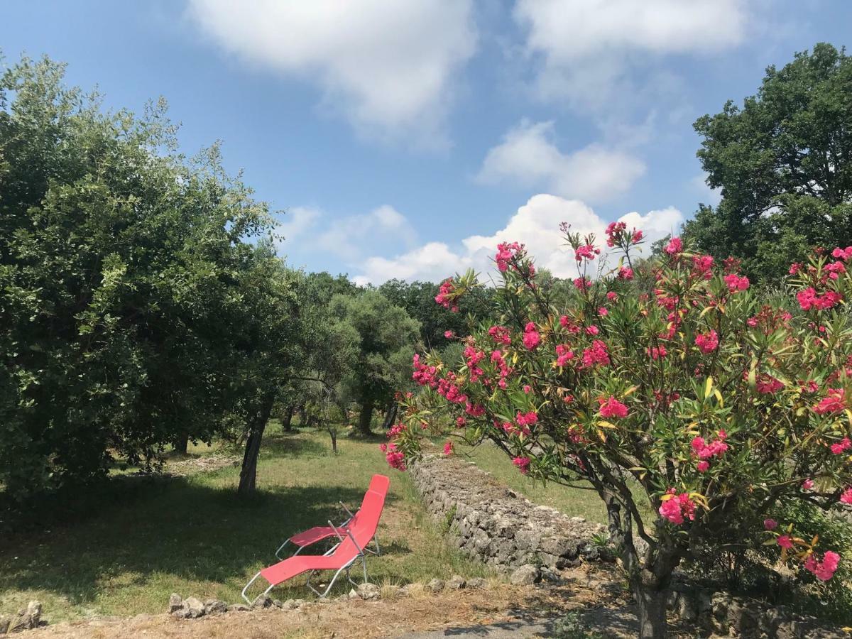 Villa Du Sud Vence Eksteriør bilde